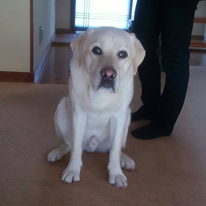 28c88ee4 fae1 4a84 8889 bd8fa0980085