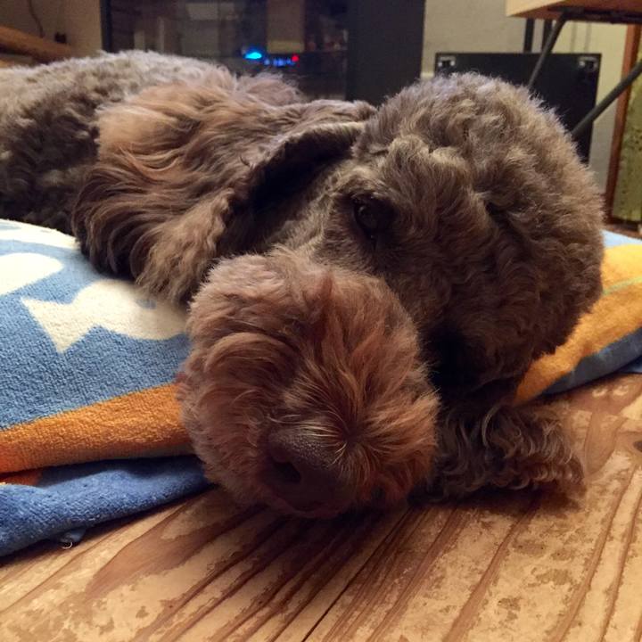 28ca2639 bc79 4bf6 8092 bee647486a63