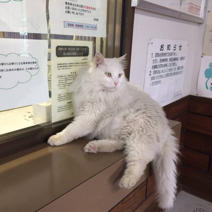 28ca45c5 5d5a 4229 83a3 b68e87b8c167