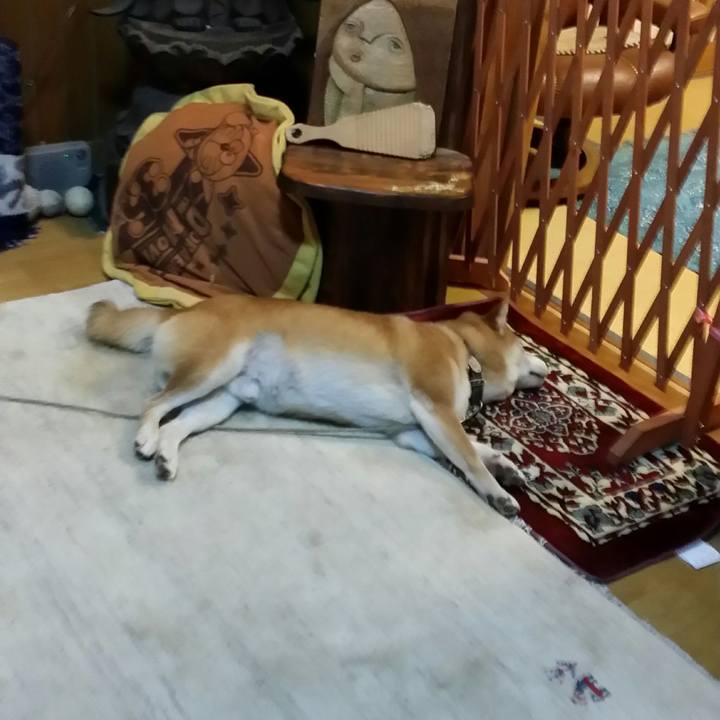 28cadfca 751a 43ec 90df 2fc09667c8fd