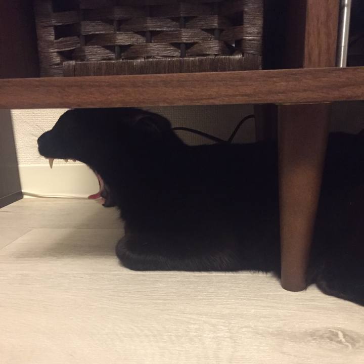 28cb3a8d ea33 44d6 99f6 32cd4b52fa9f