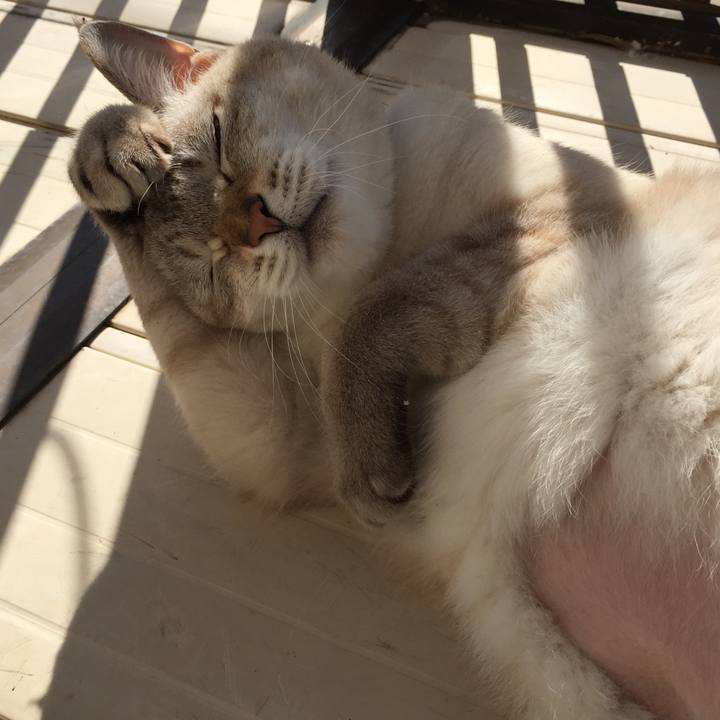 28ccc5c4 3048 484d b3ab f895dccba340