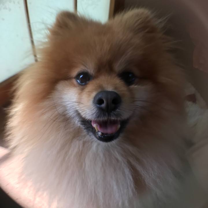 28cd0c44 81f0 4e05 bcd3 44148da47790