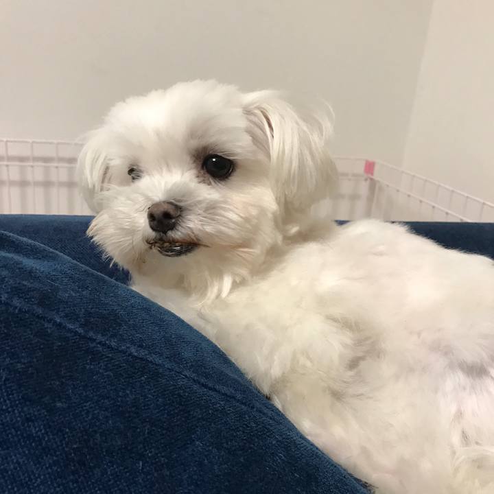 28cde0cc a1be 4340 942a 442719d959b4