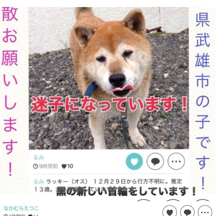 28ce33d6 8dbd 42cb a629 68243d5ab01f