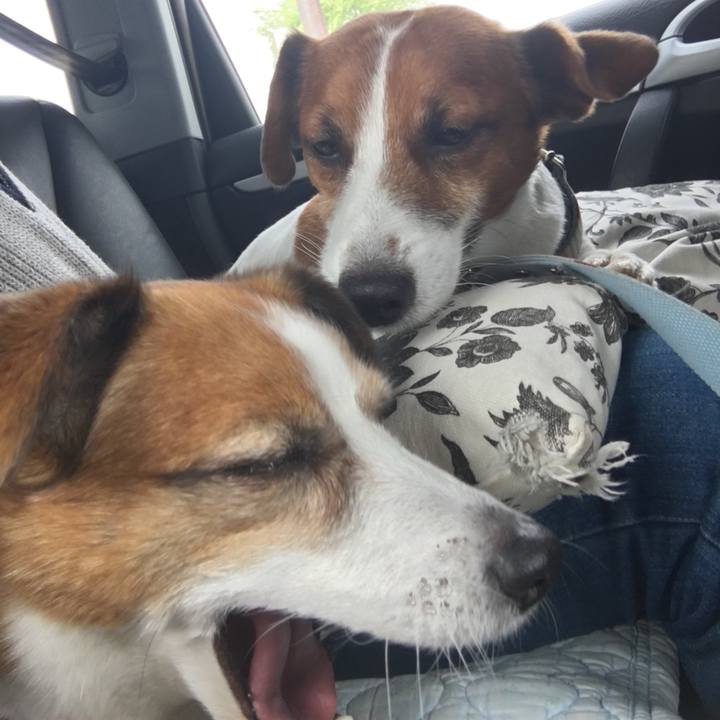 28d0bb8f cfb0 477a abd3 d692924dc0f5