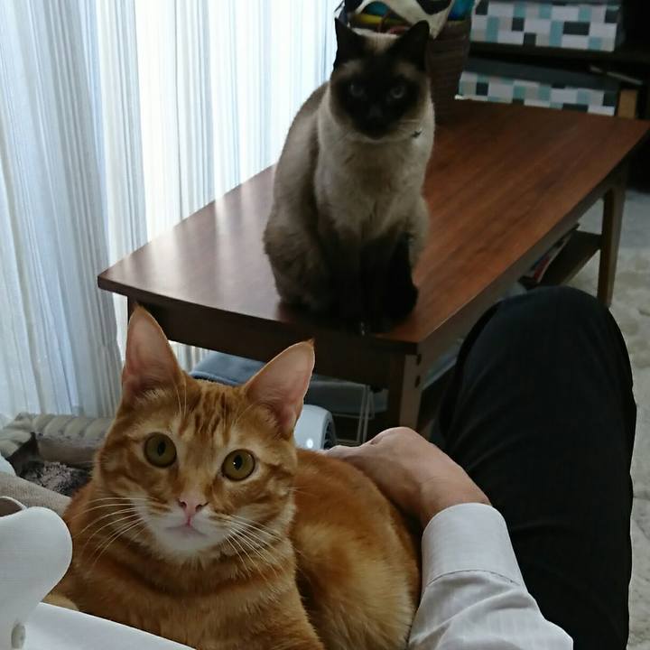 28d12f7e 98c7 4375 9bd1 53b9d03f24a7