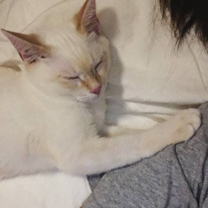 28d23bd4 1600 45d1 959f 29e739a88f23