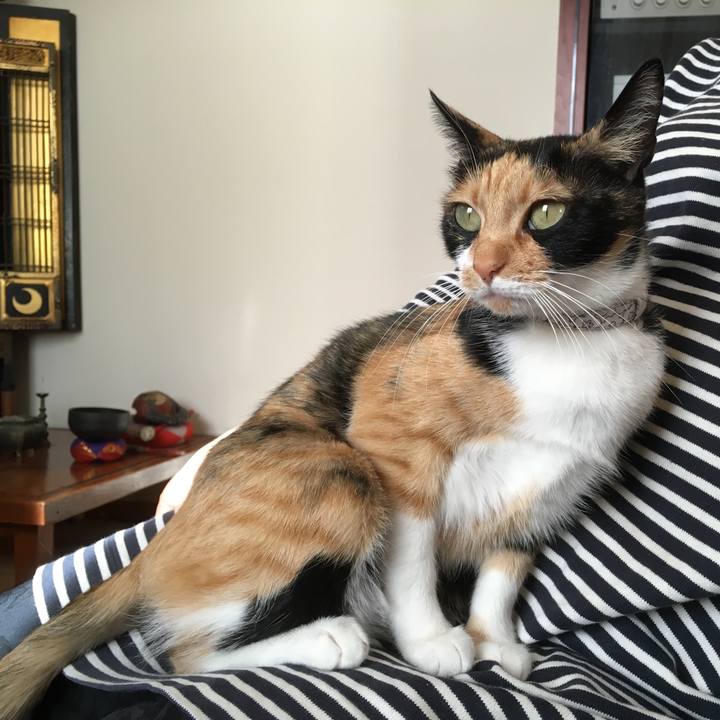 28d25509 e0e6 439a ab48 49156162344d