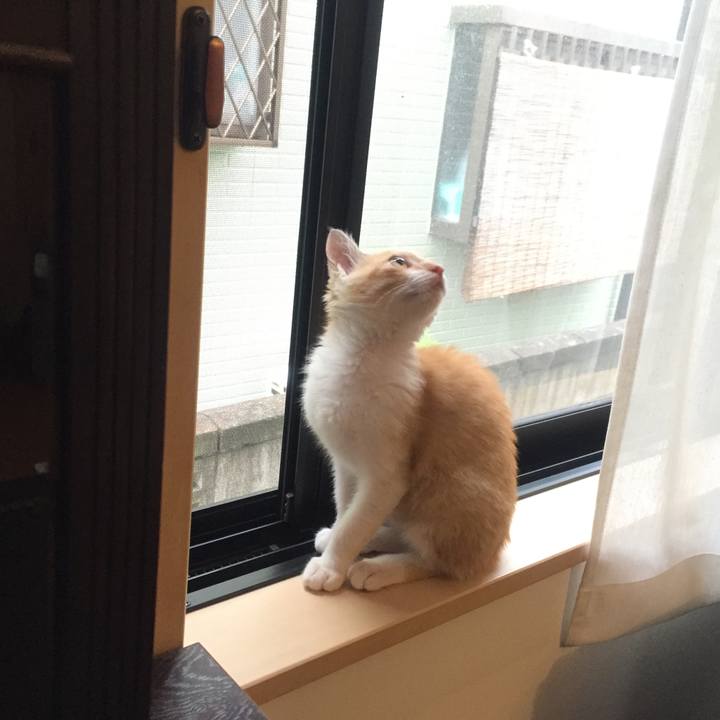 28d30919 5c5d 4a4b 9db4 4a277ddc8a72