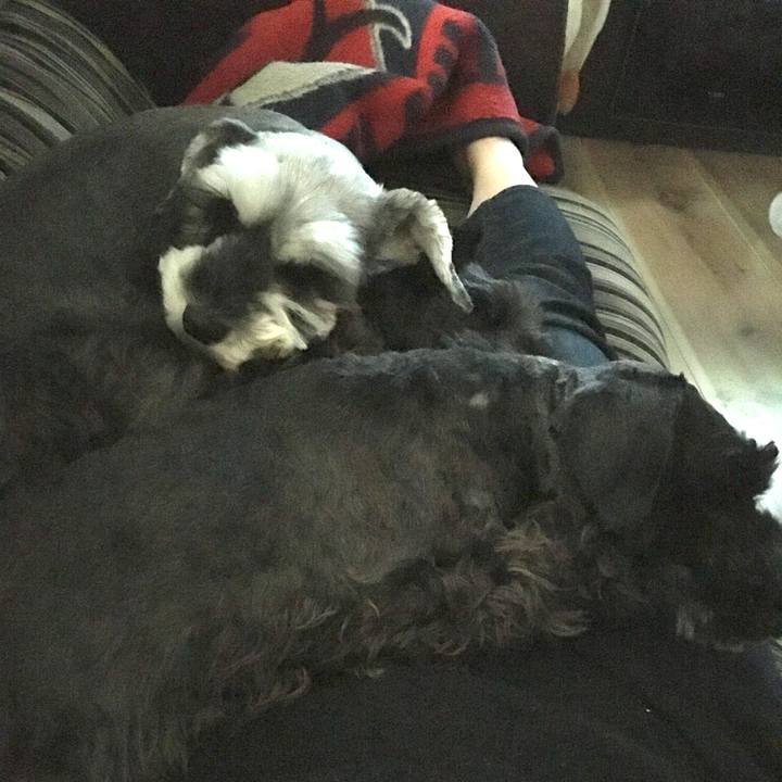 28d35e00 7e2e 4fde a4b6 1f5d8a3606a3