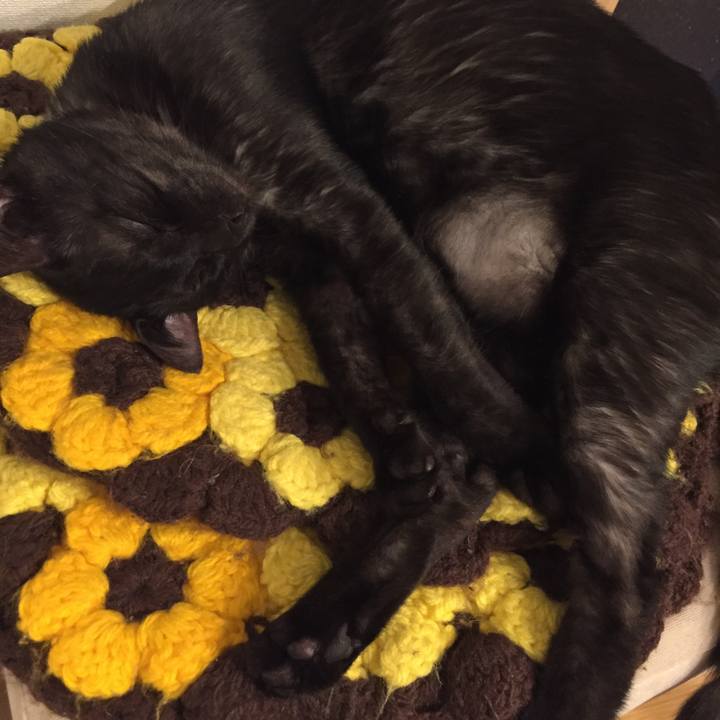 28d3732c e60c 4c47 a6c1 9bfd18eae22a