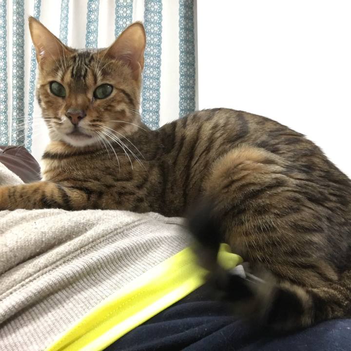 28d4b20b 246e 4be1 8890 e5458d077099