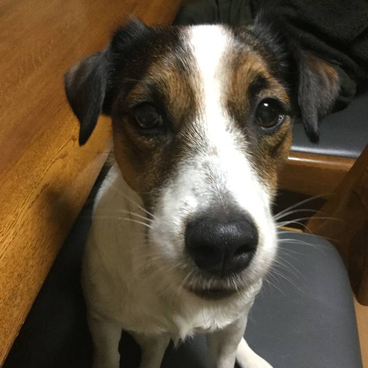 28d4b615 aa62 4219 8dfb 4ab0059cfe65