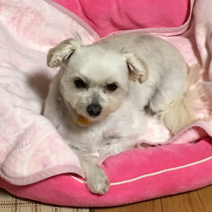 28d4ce1c 9b75 495a 966a 45c3f04e970e