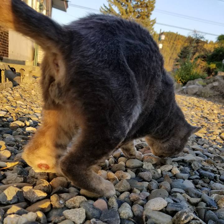 28d5c239 a313 4dc5 ab05 d32b7384cd23