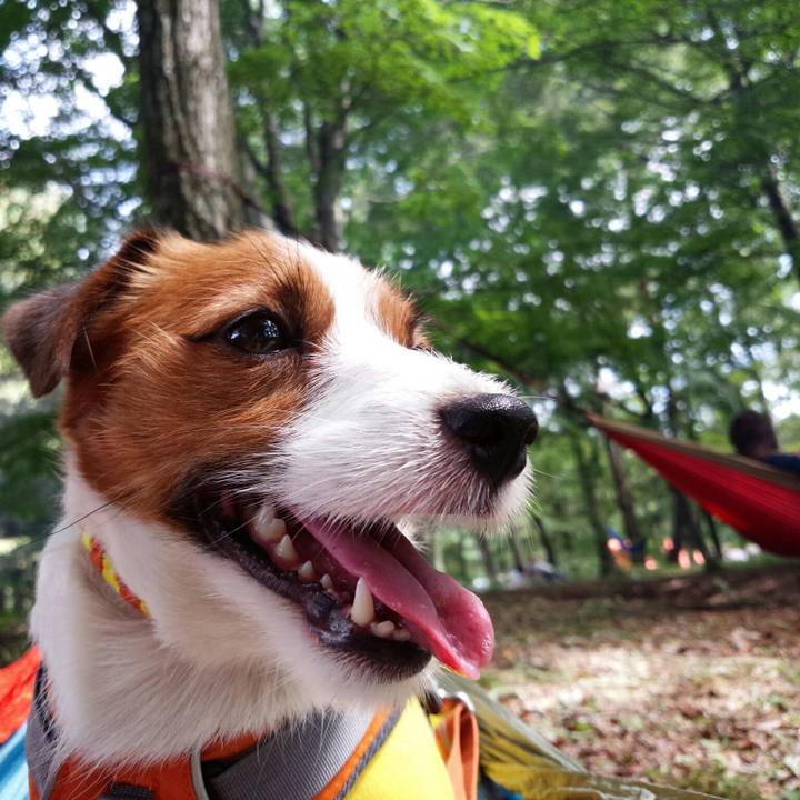 28d5c7ba 9895 4ac4 9128 c30563524164