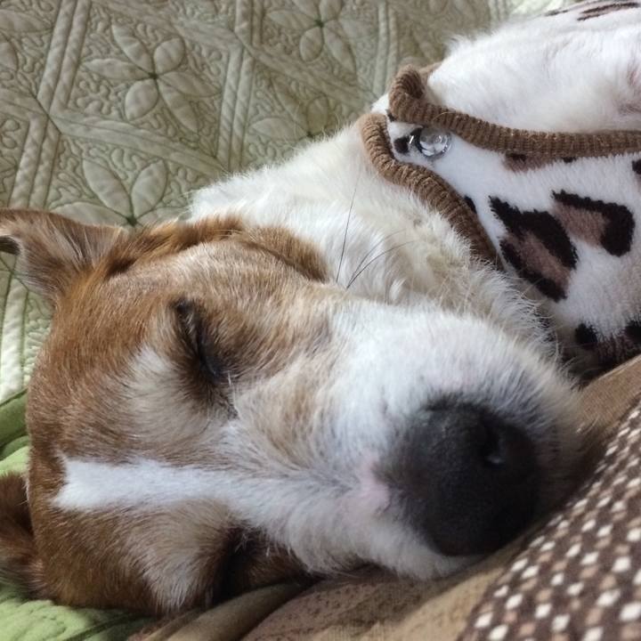 28d5dad4 0585 4ac1 a7d0 e69b694654b9