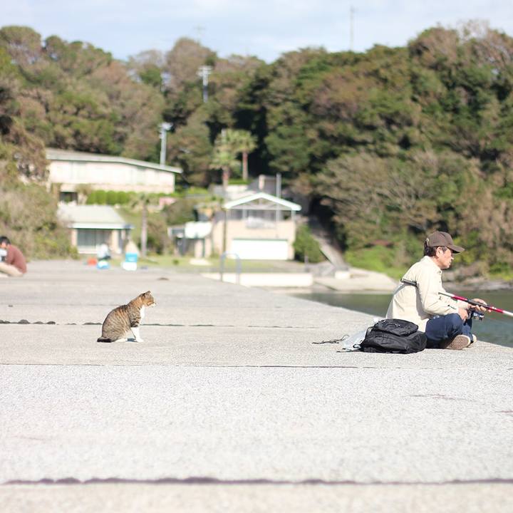 28d6a639 213a 4ae3 aa4a 84cbedba57c6