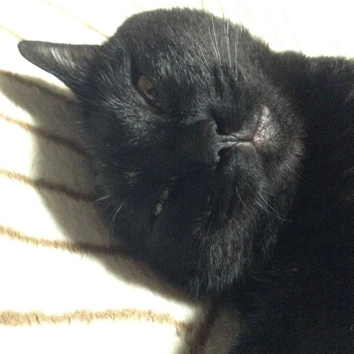 28d7160b 16a2 4fcf 85b6 8a91137e9455