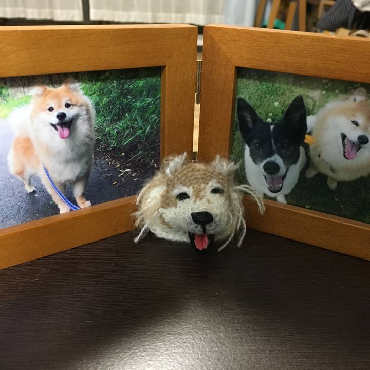 28d7379b 6e93 4569 9b2e bf8536f8d327