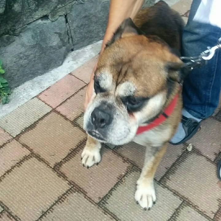 28d74eec f99c 44e0 bd0e 7f01c88496a9