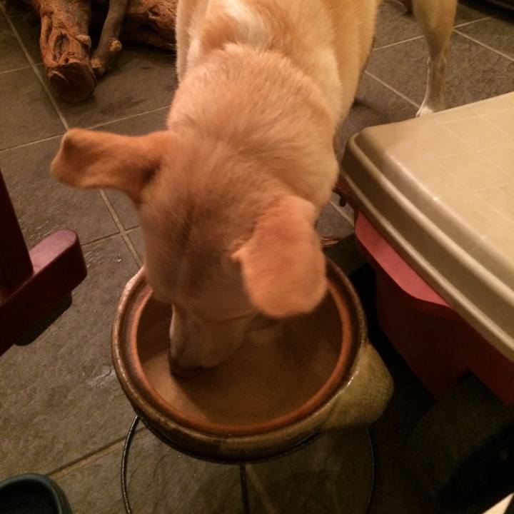 28d8180f b991 4c95 8198 6f23b2e36019