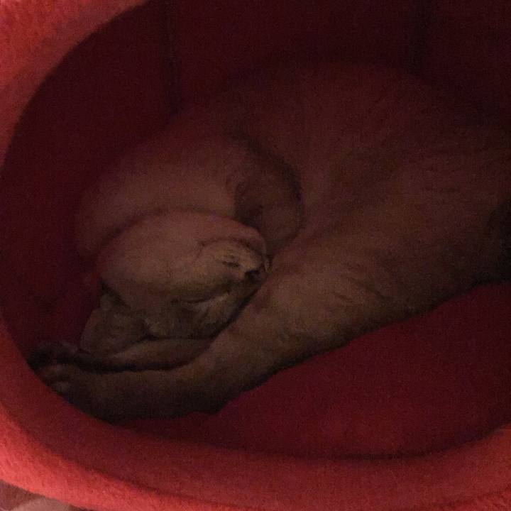 28d8273f 43a1 45c3 bd8f 19c9fd32ab2f