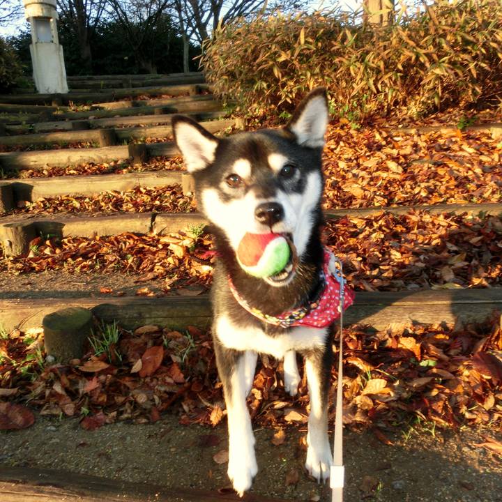 28d86b63 4cf9 4dbd 8fd3 6831a26da75c