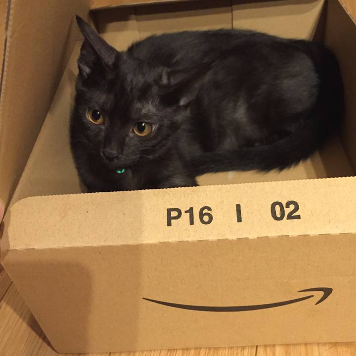 28d8864c c556 4f5e 9684 f9ea6becc9a4