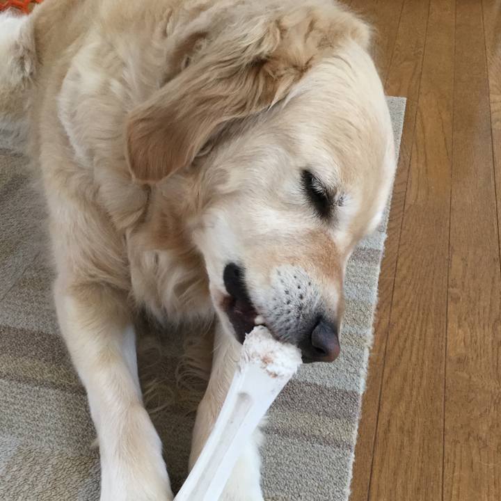 28d90a10 45c0 4165 adac dd8da609b253