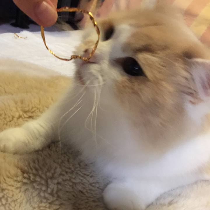 28d944fe 45e0 40ad aea2 0a697696037e