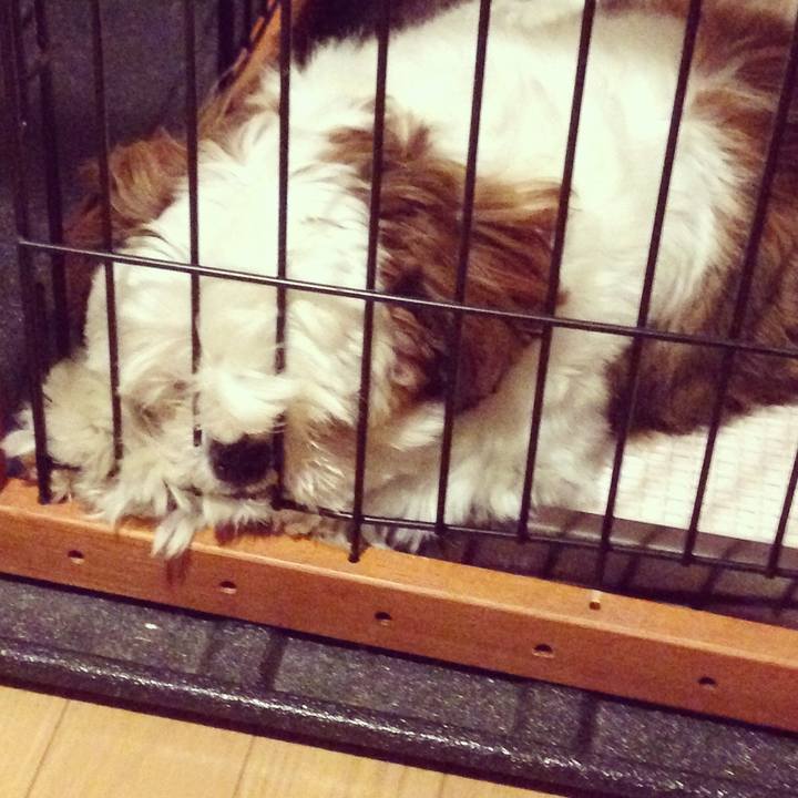 28d9bb0f 0abb 434e 977d 72076d14fc6c