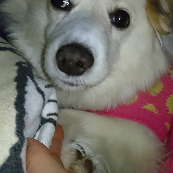 28da0447 42bb 4554 8416 e7978e31e615