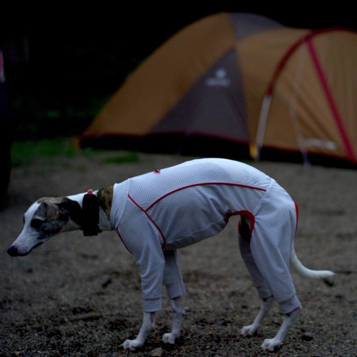 28da96cd 8101 4748 8291 b7b886027f08