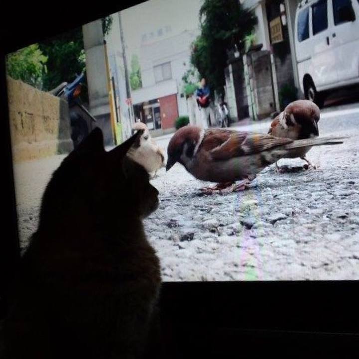 28db4d6a 3b6f 406a 9923 73221e26d0e5