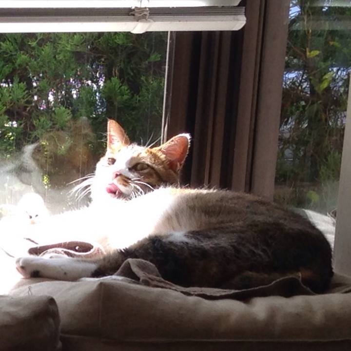 28dc61f2 e273 4c42 8e8a a3bb02f89ac6