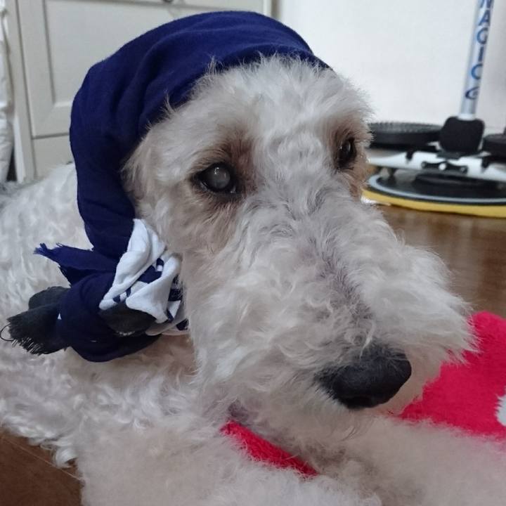 28dd5257 e0d5 4b3a 9b0a ce77b66a5c0d