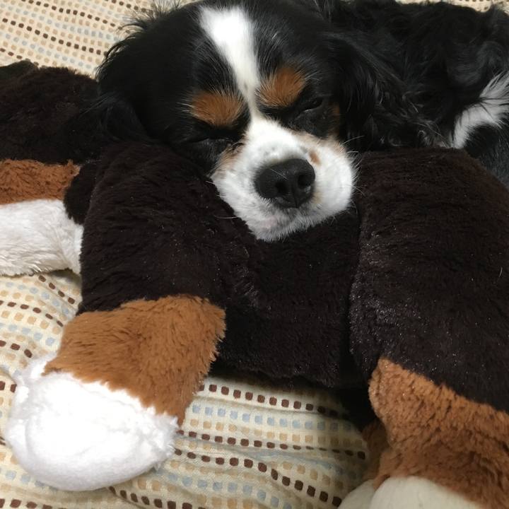 28ddece6 da2f 4f21 9c8f 0e3cd3fd7f1f