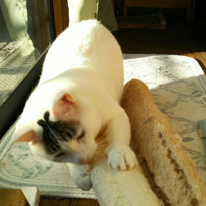 28de3702 2c1b 472d 8770 b4d9b69d8ab5