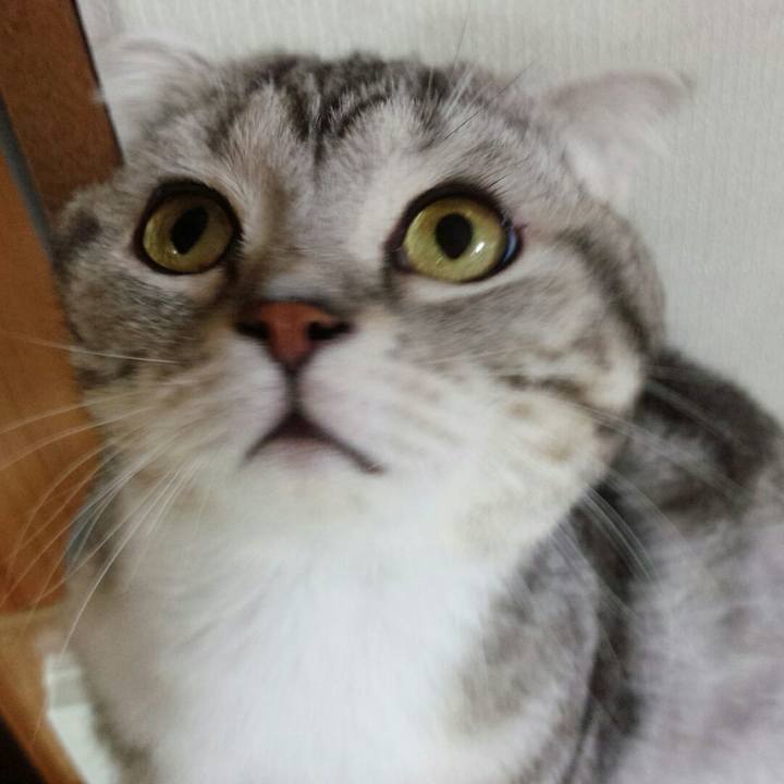 28de814e d25e 4f30 8d15 1e8146219a26