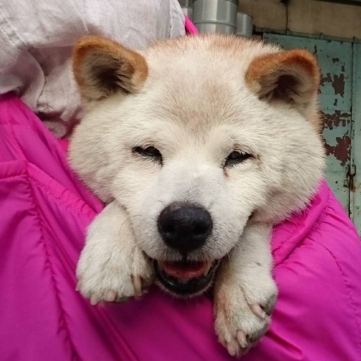 28dea913 ec34 4d4f 8feb 6bce82e46807