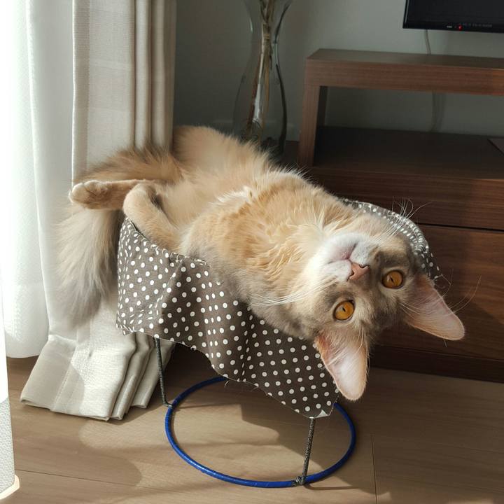 28df2c48 a7de 4947 ac55 a2f474f11cf9