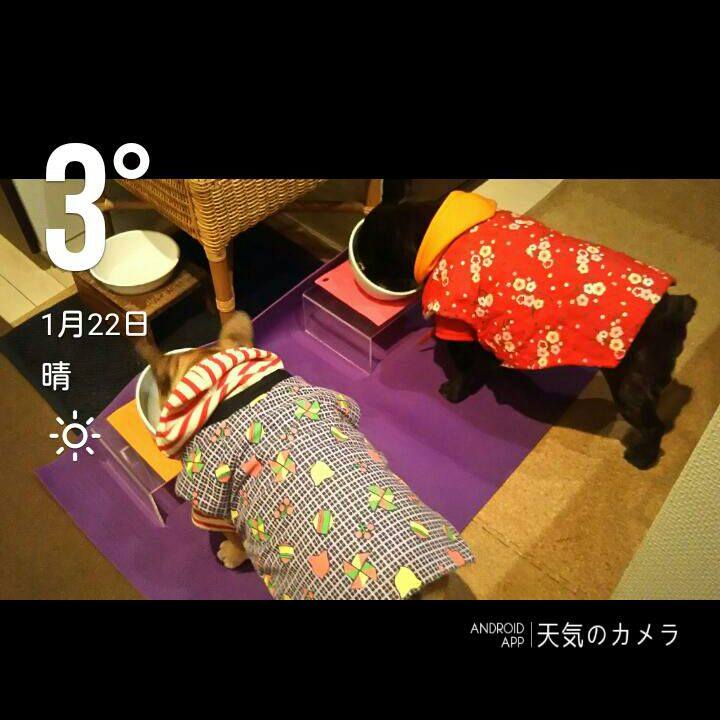 28df9ae3 1fe2 4e1d bcbb eaef8265affb