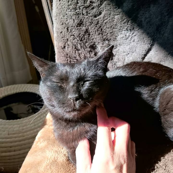 28dfebf4 e60e 4088 bc1c 5acd72fda9b7