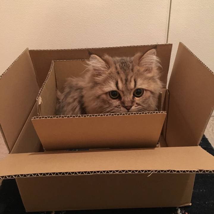 28e00c27 f25a 44f1 b0fd c0a22c358b85