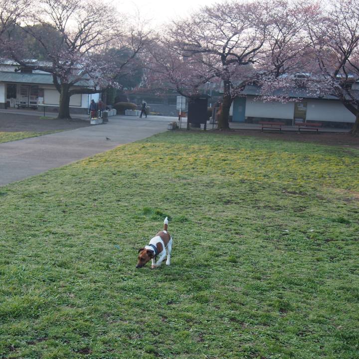 28e022e4 733b 4595 870c 8cb8756a932f