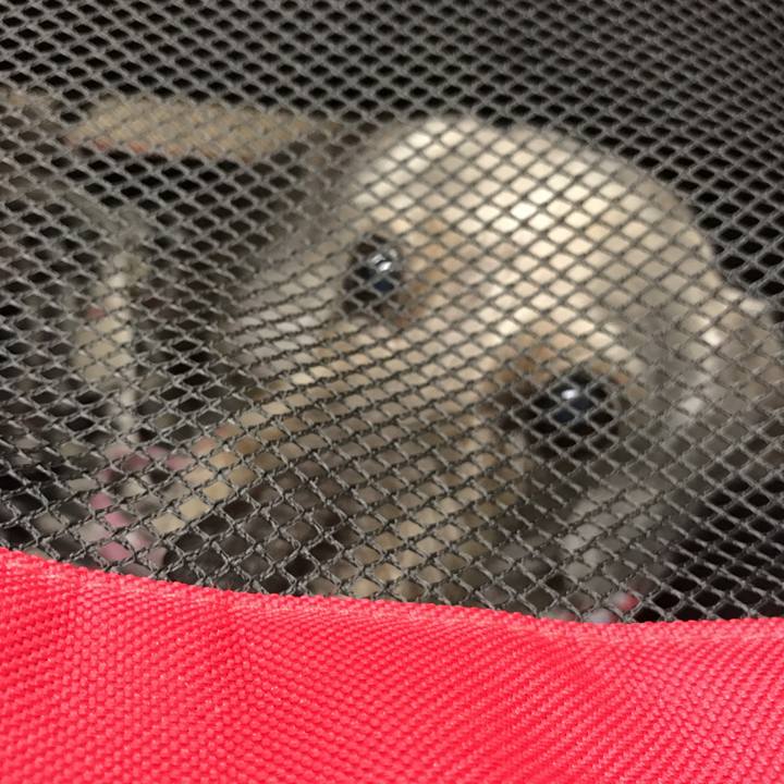 28e046b9 051d 47f5 9206 6ccf71d33ad6