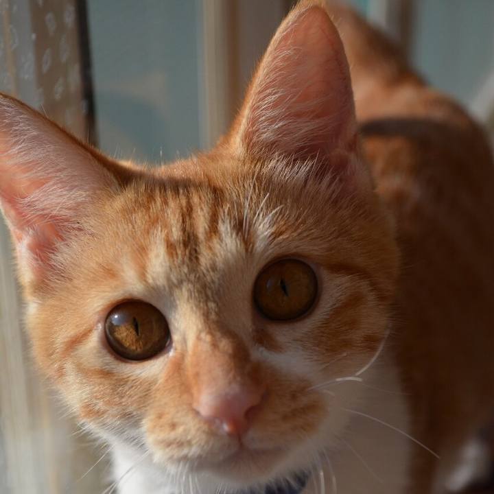 28e0b658 5b06 492d 8de7 410b298986c4