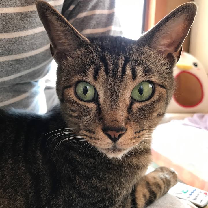 28e13646 4536 49ab 9c51 aad3aa31577d